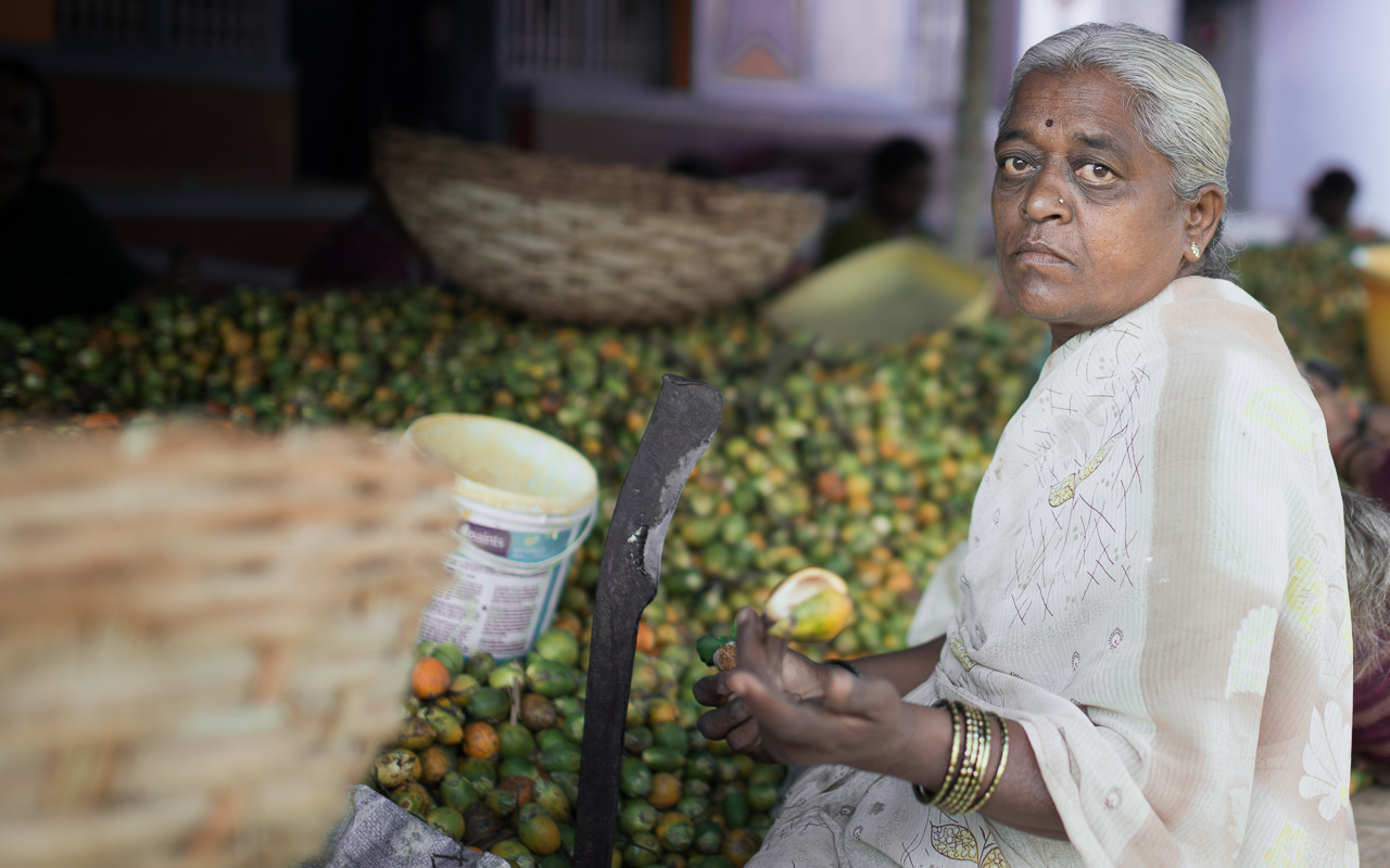 Arecanut WorkerDSC_6079-Edit