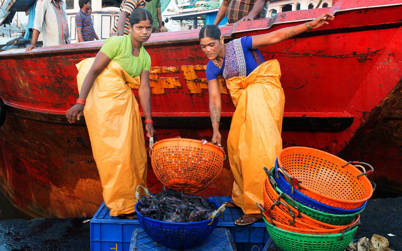 Fish workerDSC_5007-Edit